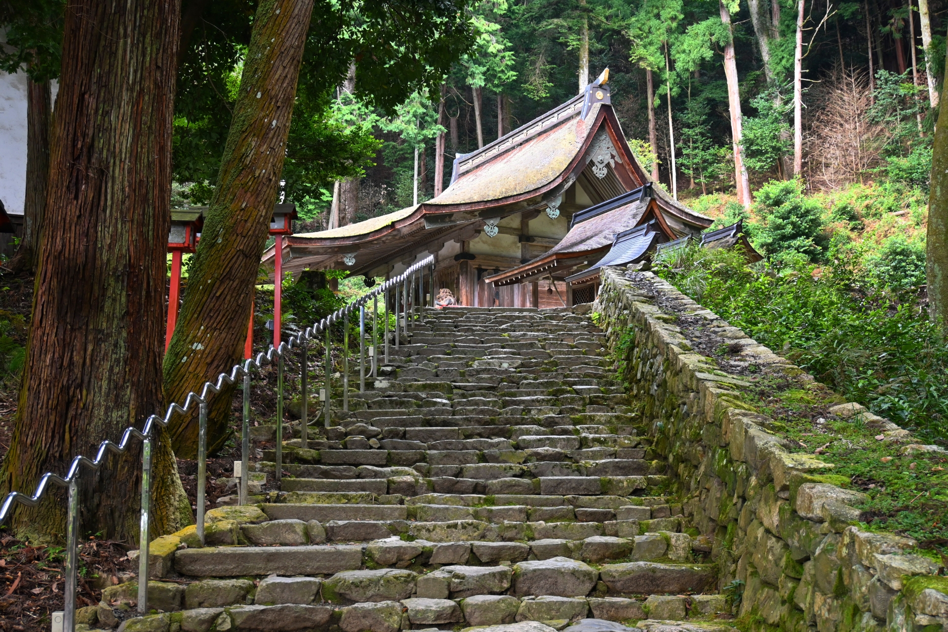 日帰り旅行