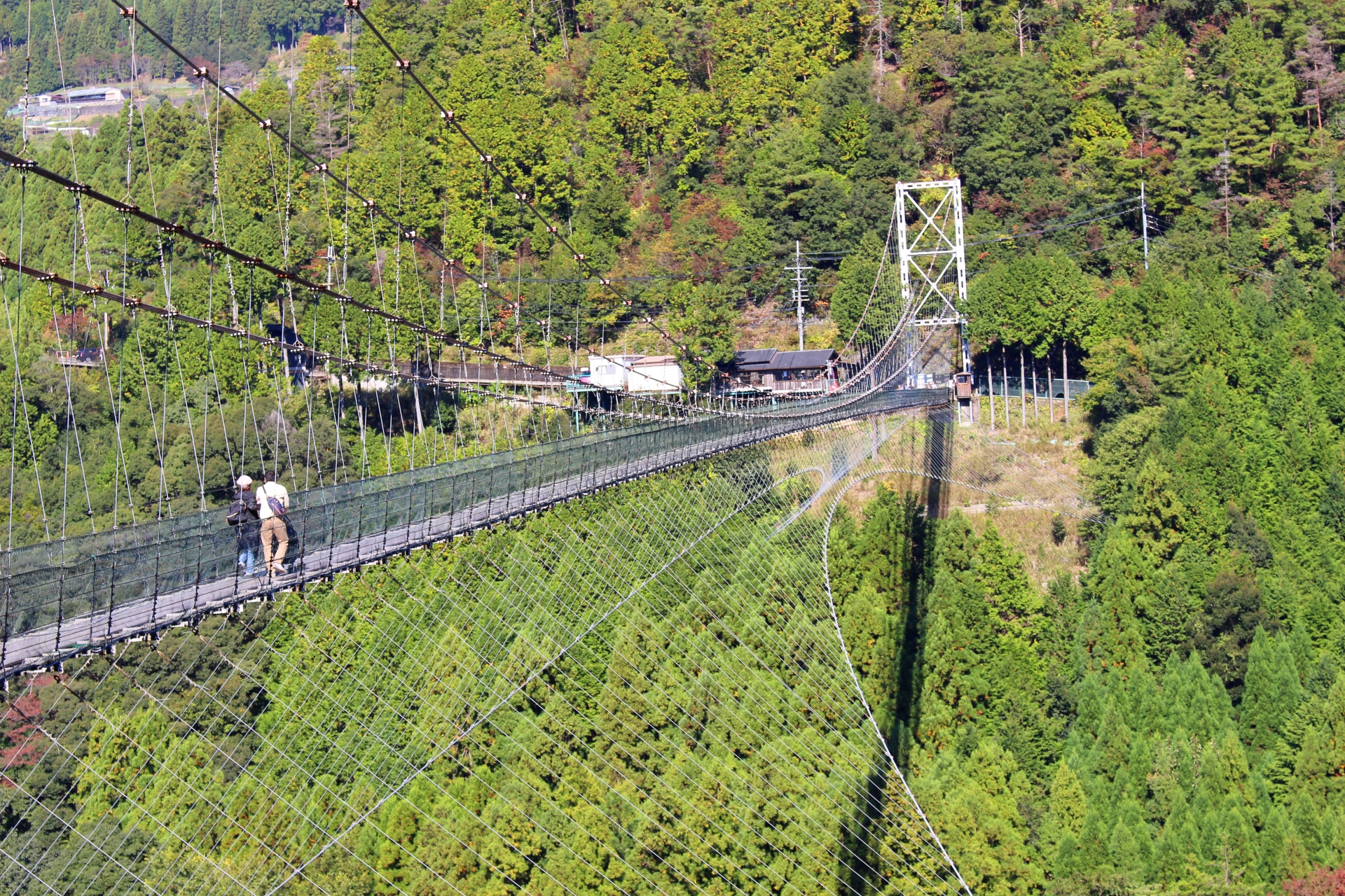 谷瀬の吊り橋