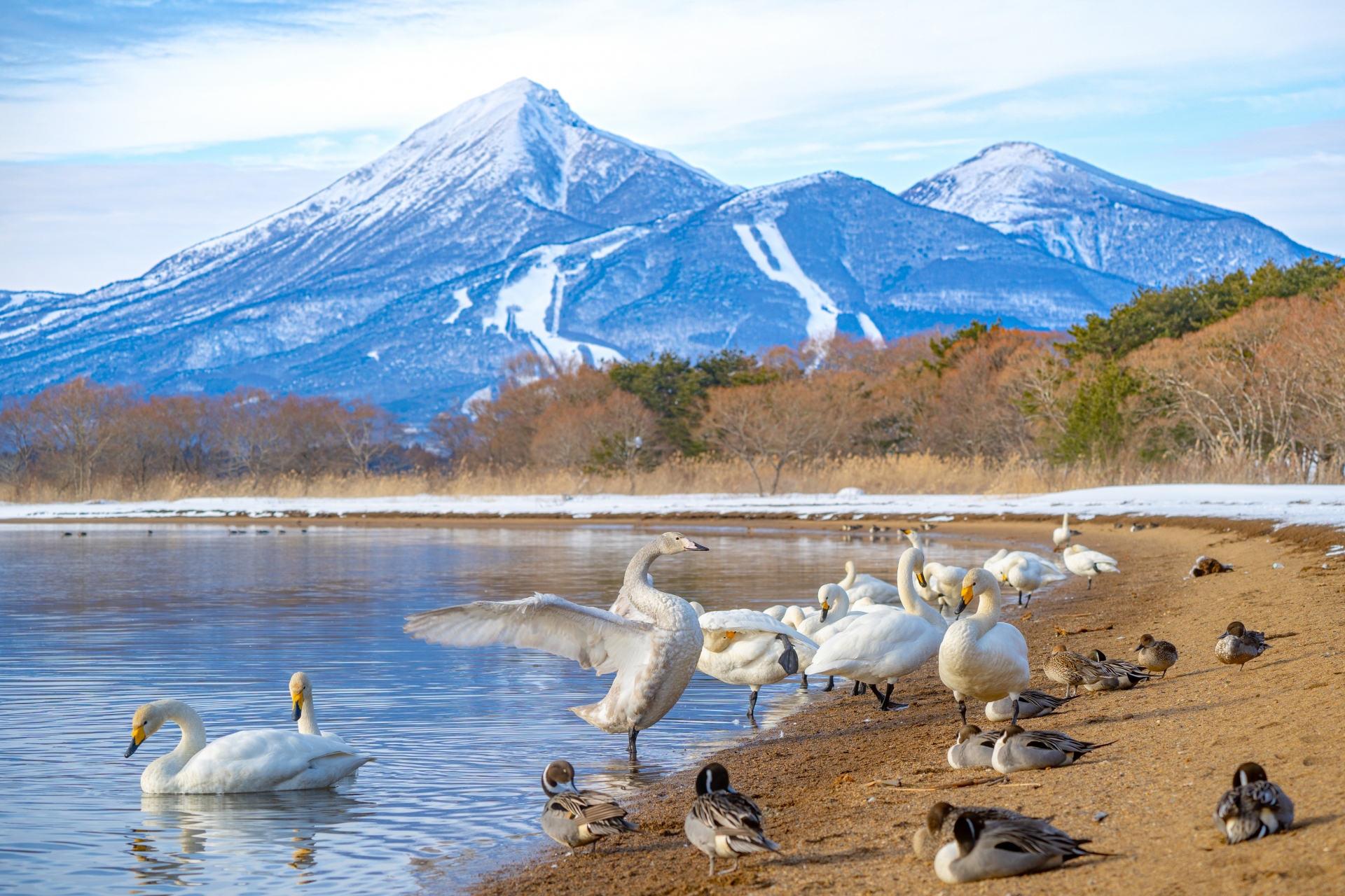 日帰り旅行