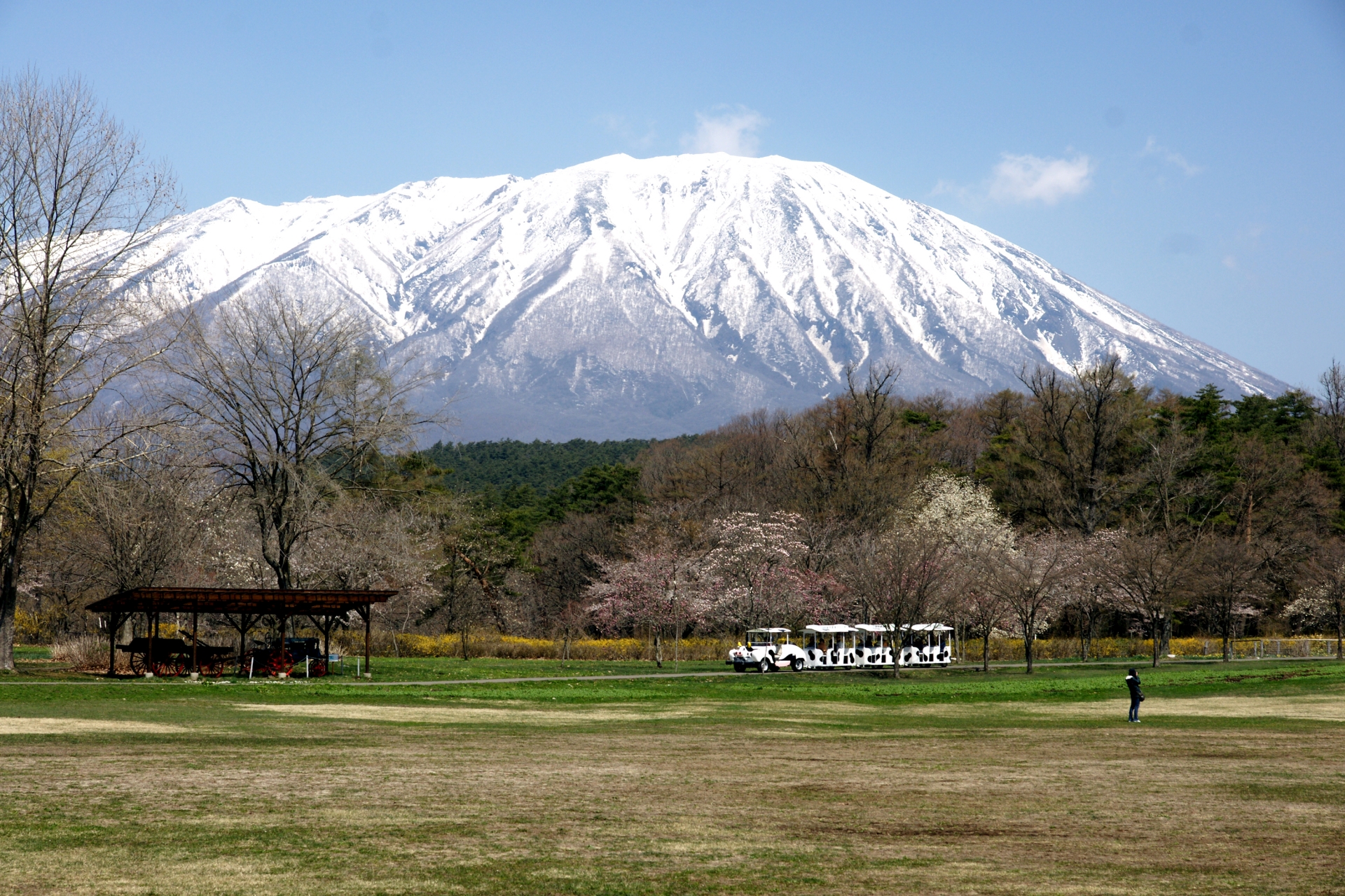 日帰り旅行