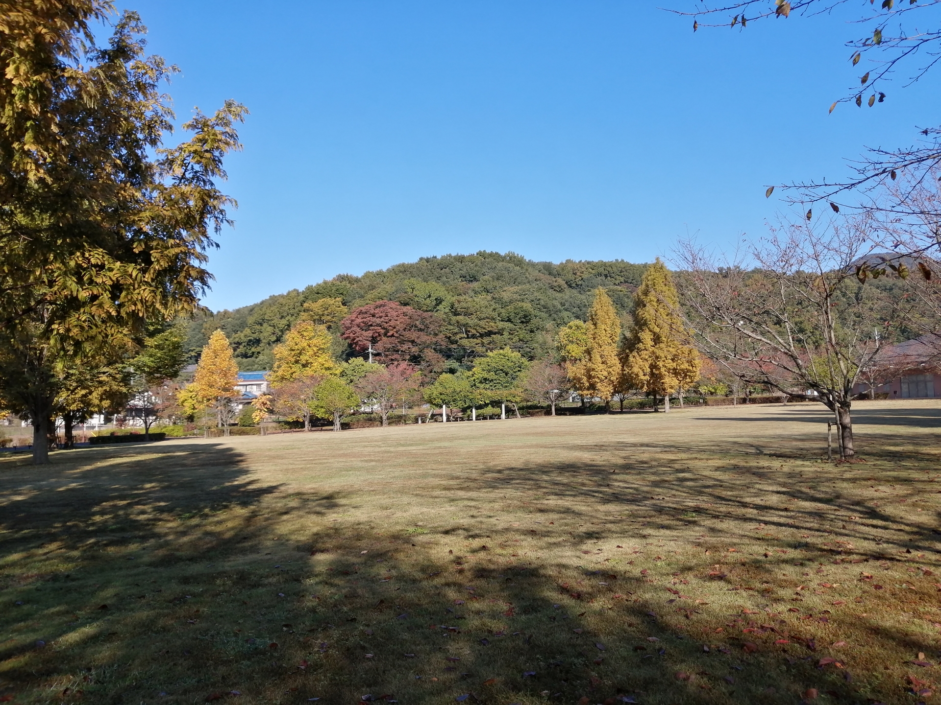 栃木県総合運動公園