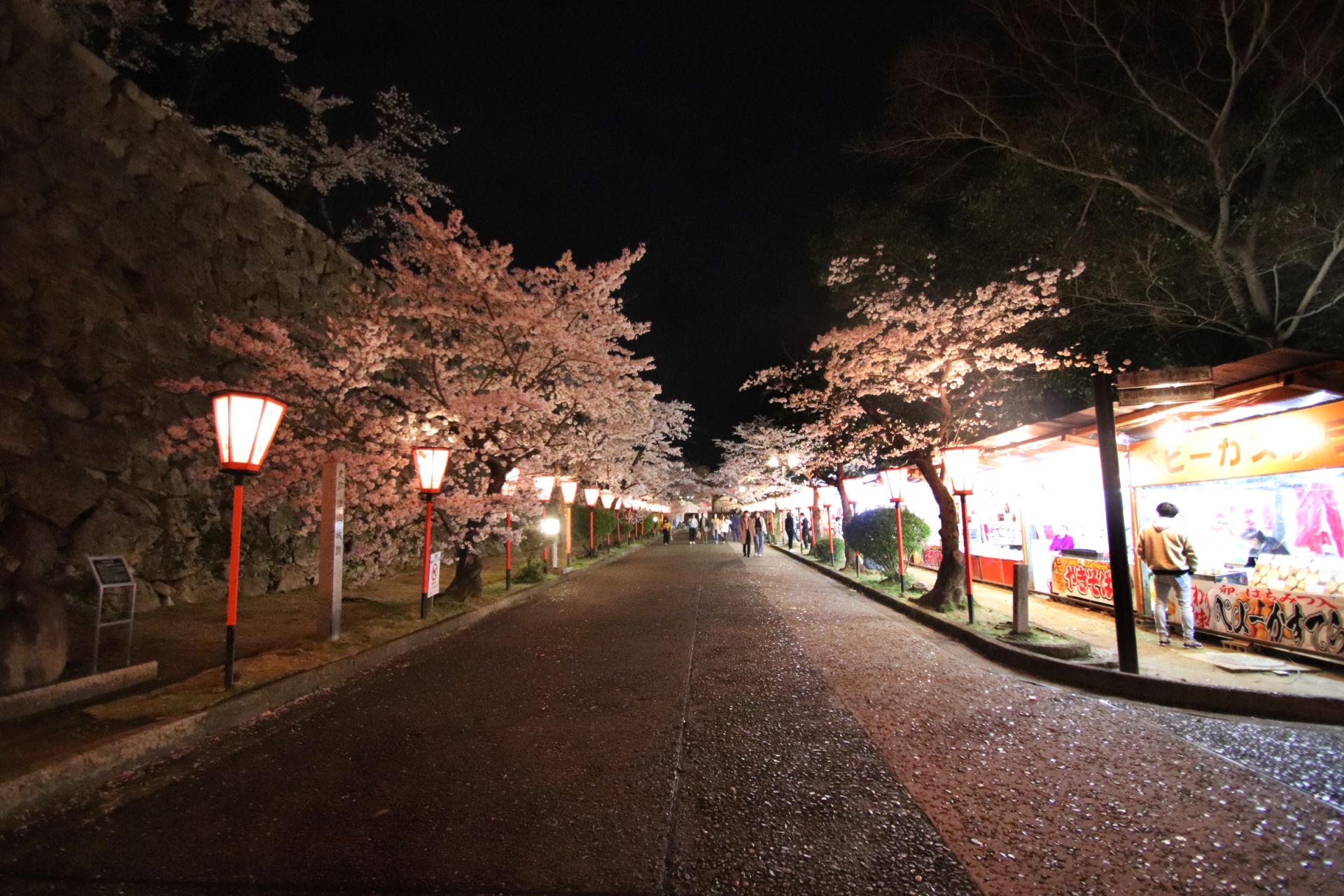 １泊２日　宿泊旅行