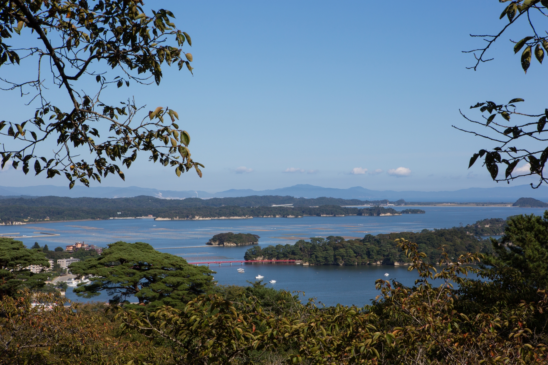 松島島巡り観光船