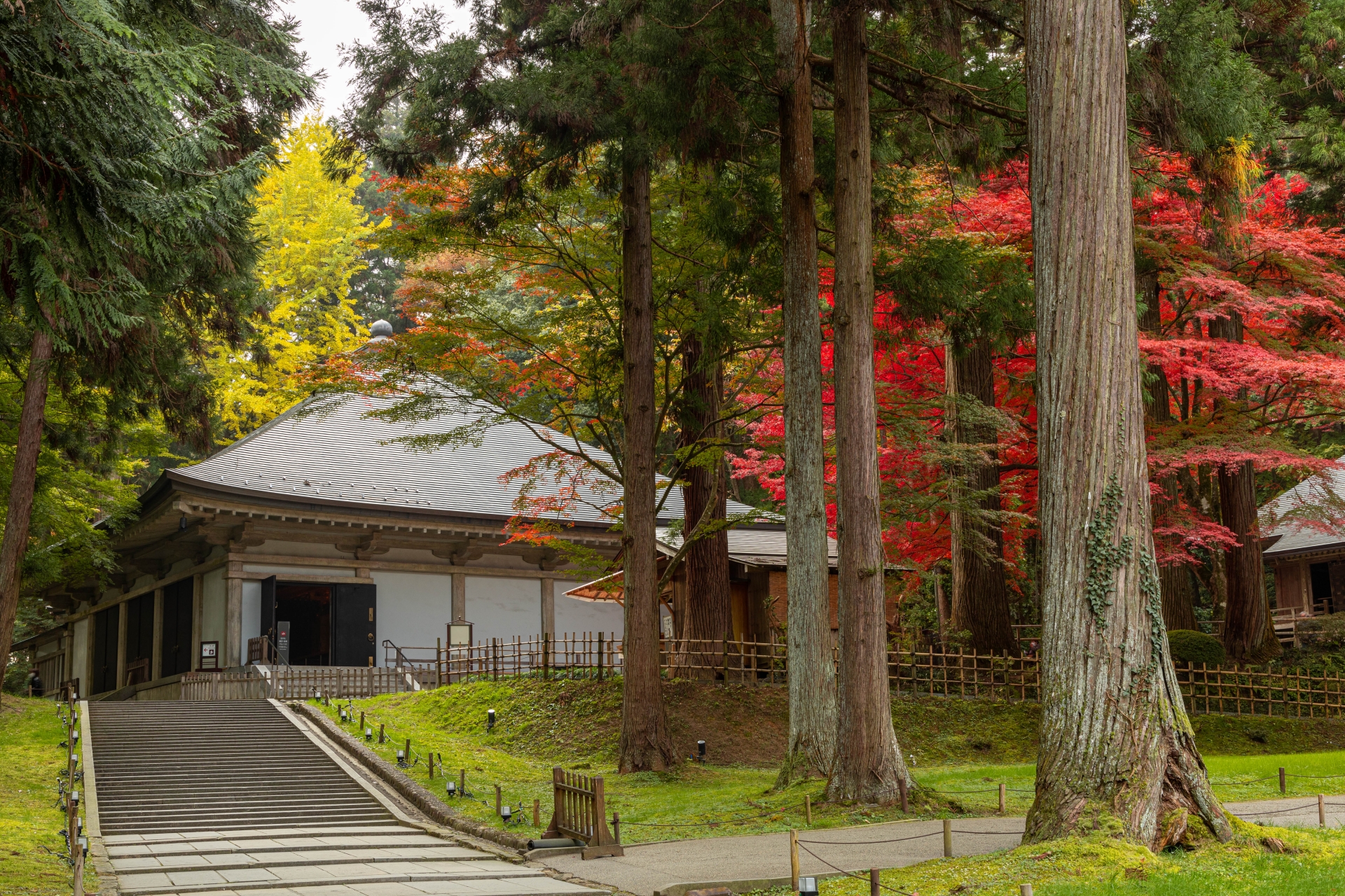 平泉文化遺産センター