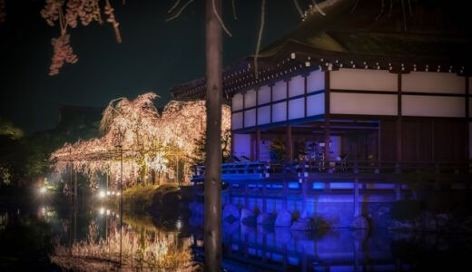 貸切バスで行きたい！夜桜の名所4選！(西日本編)