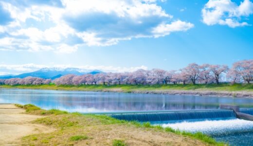 貸切バスで行きたい！桜の名所5選（東日本編）