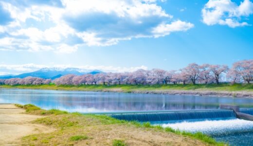 貸切バスで行きたい！桜の名所5選（東日本編）