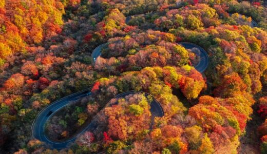 貸切バスで行きたい！車窓を楽しめるドライブウェイ(東日本編)