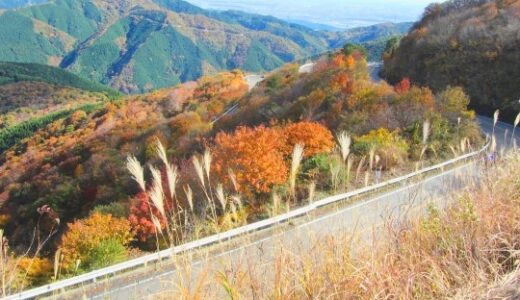 貸切バスで行きたい！車窓を楽しめるドライブウェイ(西日本編)