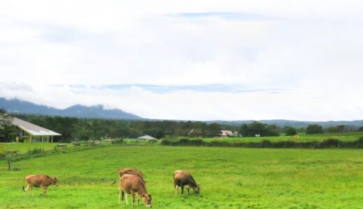 貸切バスで行きたい夏の避暑地(西日本編)